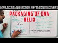 Packaging of DNA helix | Molecular basis of Inheritance