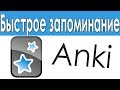 Как Пользоваться Программой Anki? Карточки Anki Для Быстрого Запоминания Информации