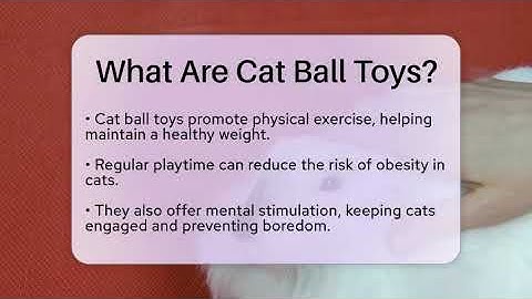 What Are Cat Ball Toys? - PetGuide360.com