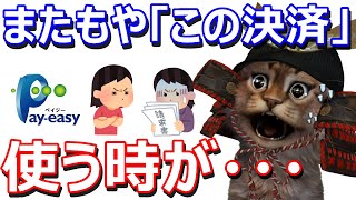 ペイジー(Pay-easy)で20万円分国民年金保険料を支払ったみた。キャンペーンの参加方法も解説