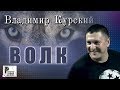 Владимир Курский - Волк (Альбом 2017) | Русский шансон