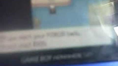 Emerald 05-Getting Pinsir