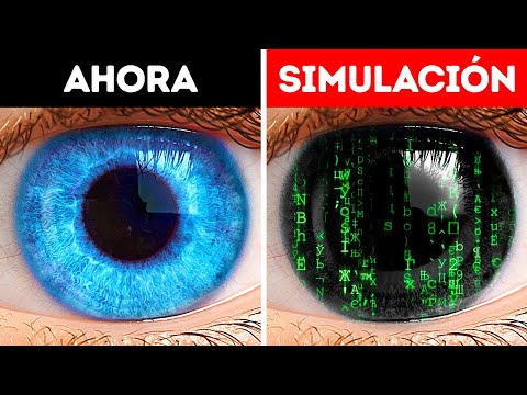 Vídeo: ¿Podemos Vivir En Una Simulación Por Computadora? - Vista Alternativa