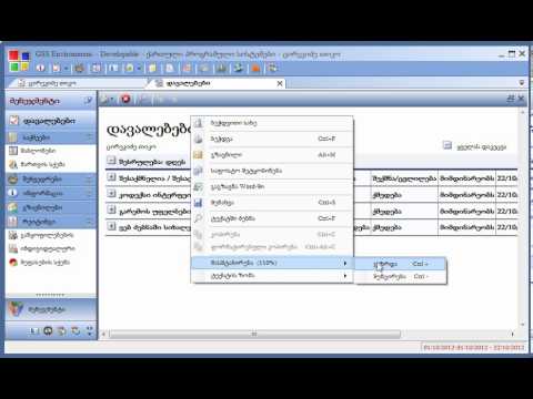 ანგარიშგების ფორმის  მაშტაბირება