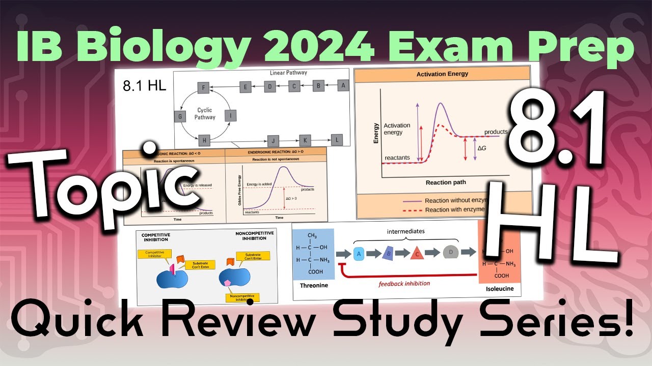 [OLD2016] IB Bio 2024 QUICK REVIEW - Topic 8.1 HL: Metabolism - YouTube
