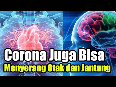 Ahli Sebut Corona Juga Bisa Menyerang Otak dan Jantung