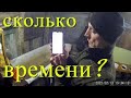 Сколько нужно времени для посева Грибных Блоков  Выращивание Грибов Вешенка