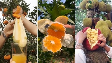 Oddly Satisfying Fruit Cutting Video That Makes You Deep Sleep