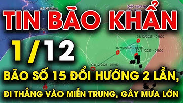 🔥 TIN BÃO MỚI NHẤT 1/12: Bão số 15 đổi hướng 2 lần, đi thẳng vào miền Trung, gây mưa lớn
