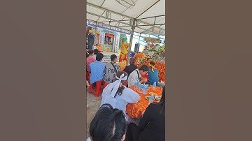 Tang lễ Mẹ VNAH Nguyễn Thị Bân 90 tuổi xã hòa tân TP Cà Mau 24/12/2024