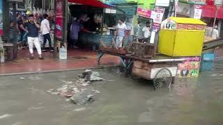 VID_20250922_095556