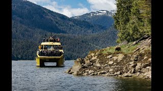 Khutzeymateen Grizzly Bear Tours with Prince Rupert Adventure Tours