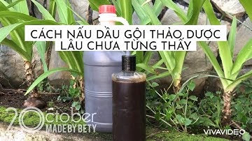 #1 Đẹp tự nhiên | Hướng dẫn chi tiết cách nấu dầu gội thảo dược cô đặc tại nhà | Dầu gội bồ kết