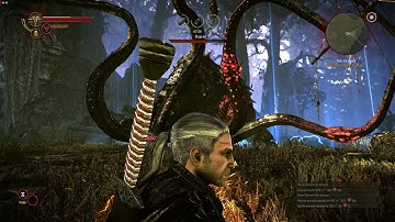 The Witcher 2 Fighting Kayran Dark Mode Try hard 1440p ultra