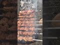 СИБИРСКАЯ ТАЙГА® 🔥 ШАШЛЫЧКИ ИЗ СВИНИНЫ!🔥#природа #река #рыбалка #охота #лайки #шашлык