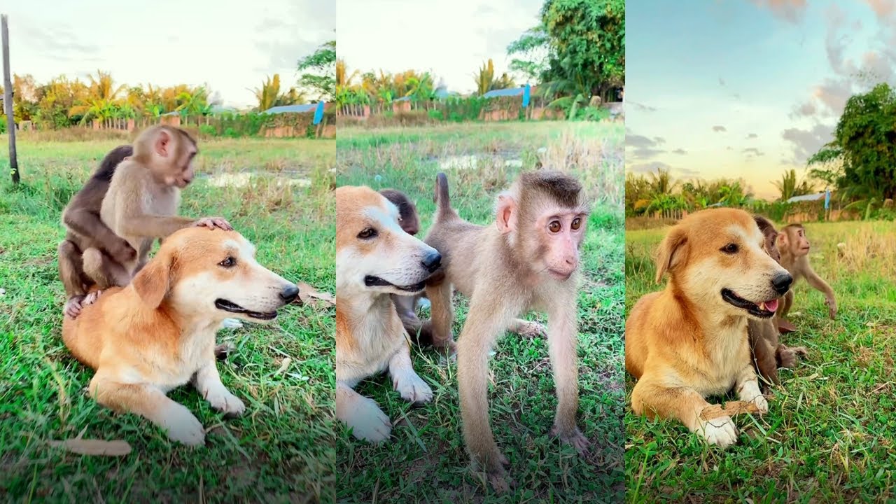 Oh wow look at them so happy instead and adorable 