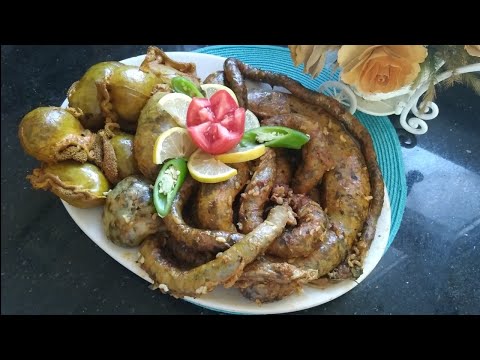 حبيب الملايين العصبان الليبي