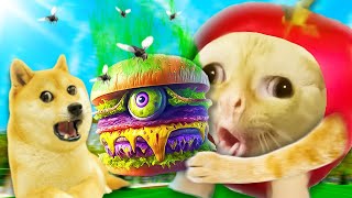 Apple Cat don't eat that spoiled Hamburger!!! 🤮🤮🤮