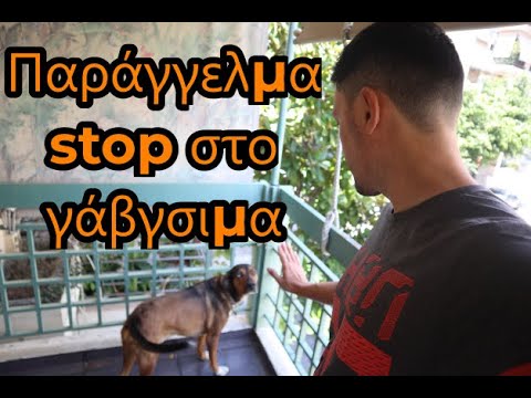 Βίντεο: Το αλφάβητο του σκύλου