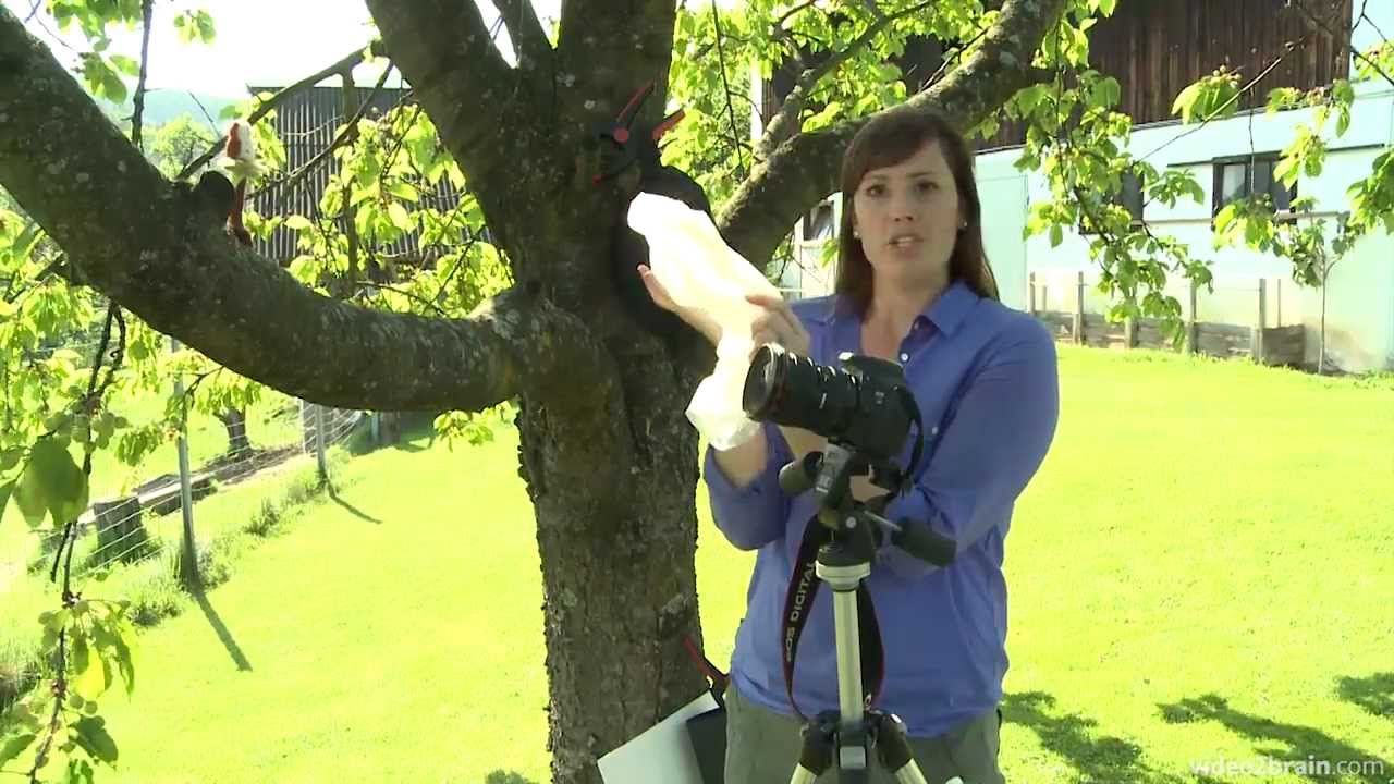 Reflecting and Diffusing Light in Craft Photography