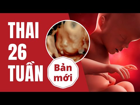 Video Thai 26 Tuần Phát Triển Như Thế Nào? - youtube