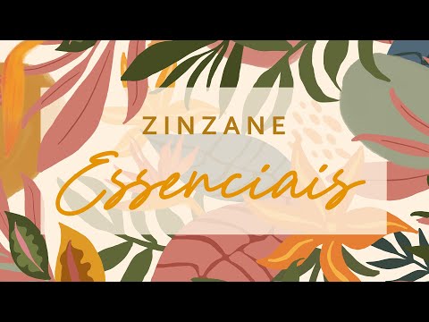 MUST HAVE | Básicos e essenciais - video from Zinzane