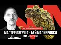 Мастер лягушачьей маскировки