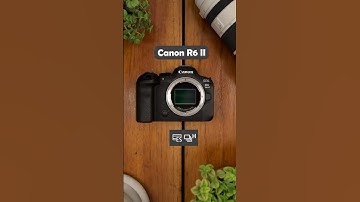 Canon R6 ii different continuous shooting speed. #canonr6mark2 #continuous #shooting #speed #shorts