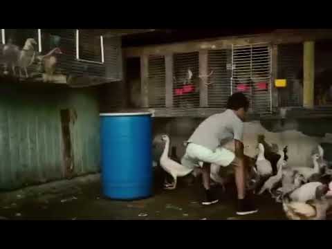 اغنية داسبسيتوا مترجمة بالعربي