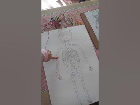 Uso del Makey Makey con esqueleto interactivo - YouTube