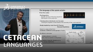 From underwater soundscapes to cetacean languages - Olivier Adam, Sorbonne University Professor