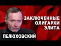 Пелюховский: хочу стать переводчиком между политиками и простыми людьми.