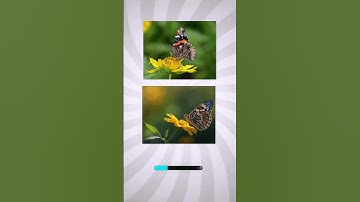 #"AI or Real? Can You Spot the Fake Image? 👀 | Puzzle Challenge"#viralvideo