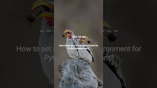 Virtual Environment Setup for Python :: 2026-04-02 #shorts #TechTips #dotKey