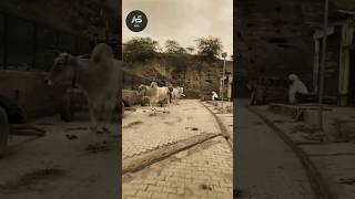 Ujar Khere Murh Base