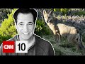 Rewilding Efforts and Ecosystem Dynamics