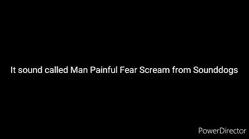 SCP 096 Scream Origin Sound