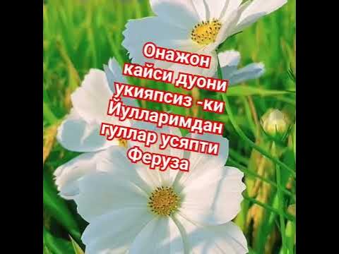 онам - YouTube