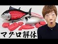 【マグロ解体】本マグロってこんなに部位の種類あったのか・・・