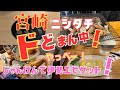 【激アツ】のんべえ聖地でじゃんけんしよ〜や❗️伊勢エビGets 🦞ええやんニシタチで飲み歩いてるんやから🍻