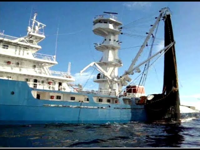 maqueta barco atunero del cantabrico virgen del mar disarmodel