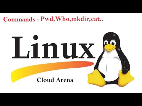 4 Linux Basic Commands Pwd,Who,mkdir,touch,cat,etc #LinuxCommand #RedhatCommand #CloudArena #Youtube