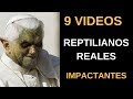 9 Videos de REPTILIANOS REALES Impresionantes l Pasillo Infinito