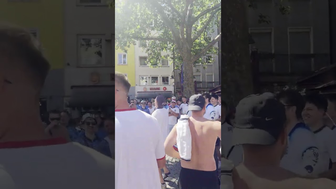 The fans' ball got stuck in the tree; their joy came only after the ball fell down