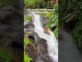 THE MOST EPIC THING TO DO IN BALI 😍 #bali #indonesia #traveller #travelling #travelvlog #travel