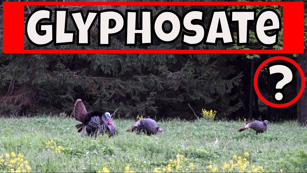 Alternative Methods To Using Glyphosate - Planning Summer Food Plots