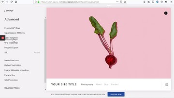 Inject Google Tag Manager Script | Squarespace Tutorial