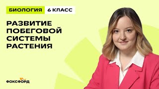 картинка: Развитие побеговой системы растения | Биология 6 класс | Домашняя школа Фоксфорда