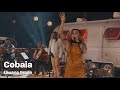 Playlist Sertanejo