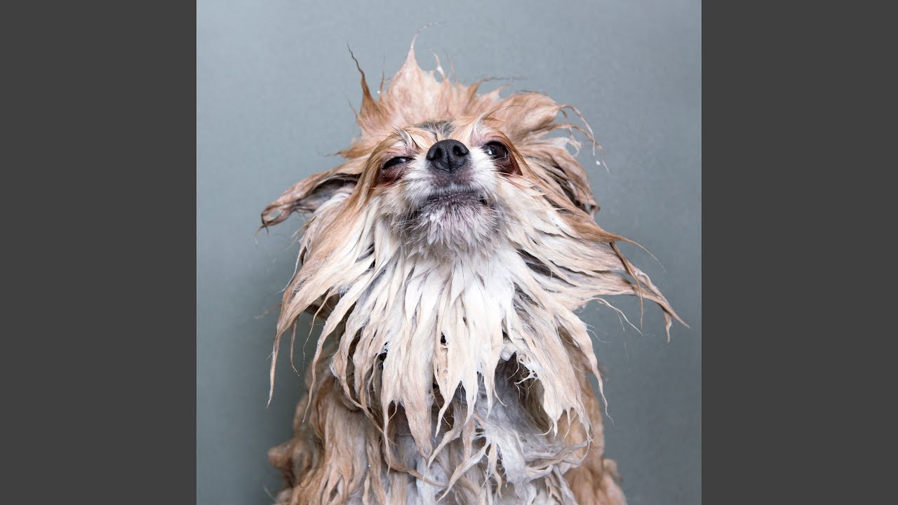 在 YouTube 上观看 Hawaii Skit 在 YouTube 上观看 Hawaii Skit